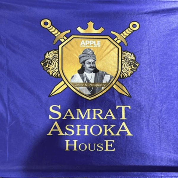 School Flags - Image 5